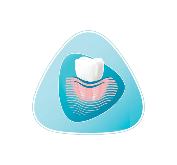 Tooth icon on an blue shape backgrounud